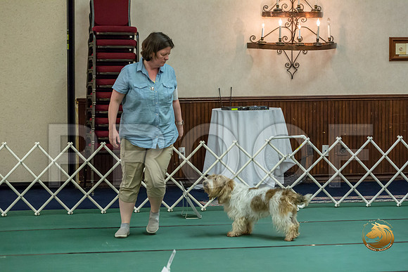 Rally ExB #95 Megan Esherick Reg Judge Nancy SimmonsJJJ_7952-PBGVKrvlTX2019-HR3