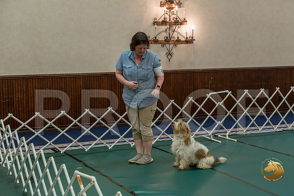 Rally ExB #95 Megan Esherick Reg Judge Nancy SimmonsJJJ_7961-PBGVKrvlTX2019-HR3