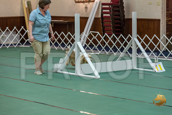 Rally ExB #95 Megan Esherick Reg Judge Nancy SimmonsJJJ_7962-PBGVKrvlTX2019-HR3