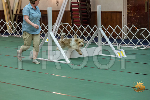 Rally ExB #95 Megan Esherick Reg Judge Nancy SimmonsJJJ_7963-PBGVKrvlTX2019-HR3