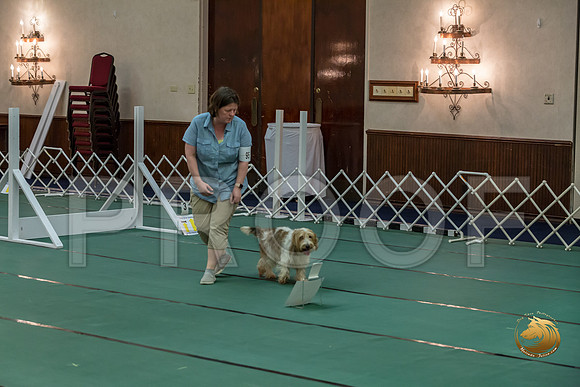 Rally ExB #95 Megan Esherick Reg Judge Nancy SimmonsJJJ_7964-PBGVKrvlTX2019-HR3