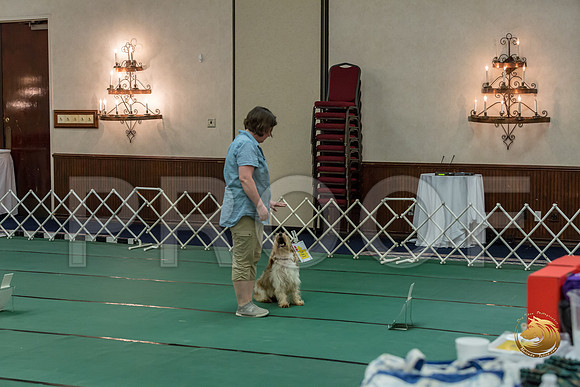 Rally ExB #95 Megan Esherick Reg Judge Nancy SimmonsJJJ_7966-PBGVKrvlTX2019-HR3