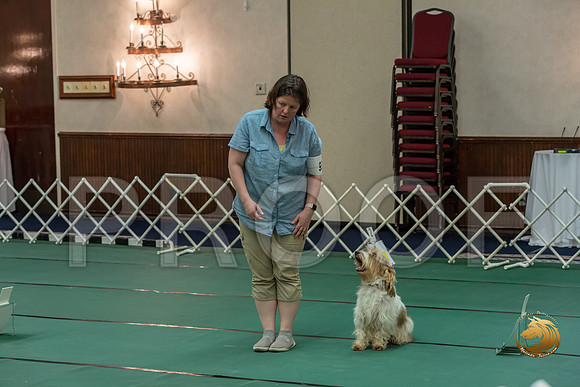 Rally ExB #95 Megan Esherick Reg Judge Nancy SimmonsJJJ_7967-PBGVKrvlTX2019-HR3