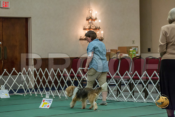 Rally ExB #96 Megan Esherick Reg Judge Nancy SimmonsJJJ_8023-PBGVKrvlTX2019-HR3