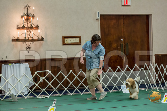 Rally ExB #96 Megan Esherick Reg Judge Nancy SimmonsJJJ_8025-PBGVKrvlTX2019-HR3