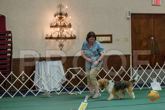 Rally ExB #96 Megan Esherick Reg Judge Nancy SimmonsJJJ_8026-PBGVKrvlTX2019-HR3