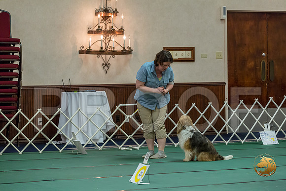 Rally ExB #96 Megan Esherick Reg Judge Nancy SimmonsJJJ_8027-PBGVKrvlTX2019-HR3