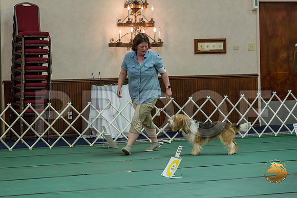 Rally ExB #96 Megan Esherick Reg Judge Nancy SimmonsJJJ_8028-PBGVKrvlTX2019-HR3