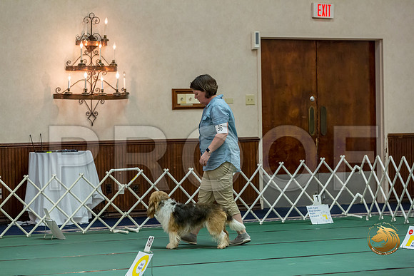 Rally ExB #96 Megan Esherick Reg Judge Nancy SimmonsJJJ_8030-PBGVKrvlTX2019-HR3