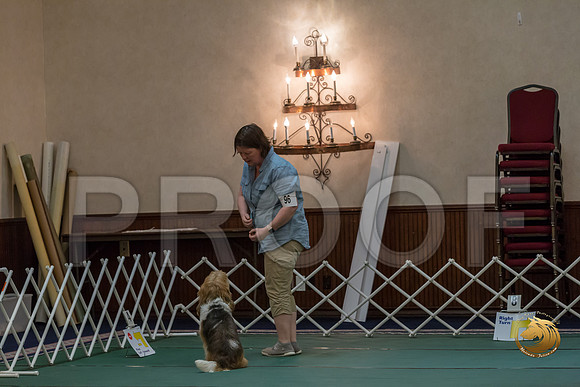 Rally ExB #96 Megan Esherick Reg Judge Nancy SimmonsJJJ_8035-PBGVKrvlTX2019-HR3
