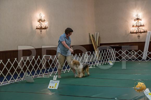 Rally ExB #96 Megan Esherick Reg Judge Nancy SimmonsJJJ_8036-PBGVKrvlTX2019-HR3