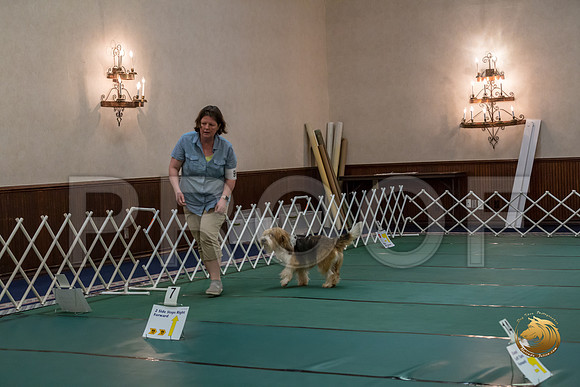 Rally ExB #96 Megan Esherick Reg Judge Nancy SimmonsJJJ_8038-PBGVKrvlTX2019-HR3
