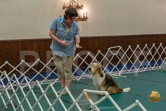 Rally ExB #96 Megan Esherick Reg Judge Nancy SimmonsJJJ_8039-PBGVKrvlTX2019-HR3