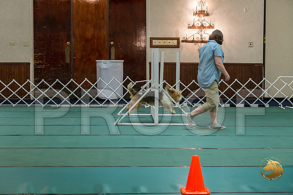 Rally ExB #96 Megan Esherick Reg Judge Nancy SimmonsJJJ_8040-PBGVKrvlTX2019-HR3