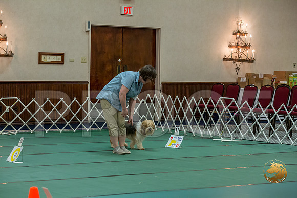 Rally ExB #96 Megan Esherick Reg Judge Nancy SimmonsJJJ_8044-PBGVKrvlTX2019-HR3