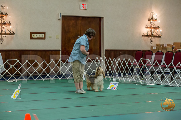 Rally ExB #96 Megan Esherick Reg Judge Nancy SimmonsJJJ_8045-PBGVKrvlTX2019-HR3