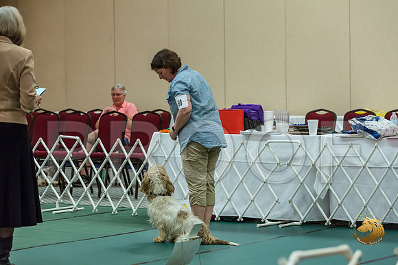 Rally ExB #98 Megan Esherick Reg Judge Nancy SimmonsJJJ_8179-PBGVKrvlTX2019-HR3