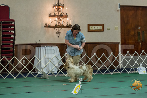 Rally ExB #98 Megan Esherick Reg Judge Nancy SimmonsJJJ_8184-PBGVKrvlTX2019-HR3