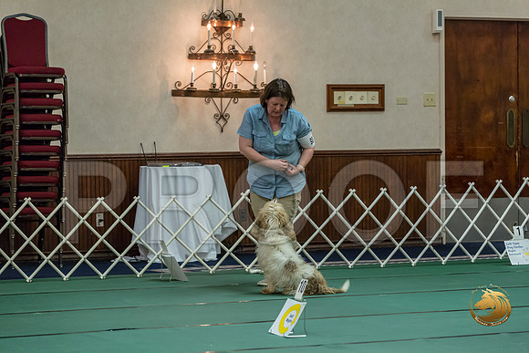 Rally ExB #98 Megan Esherick Reg Judge Nancy SimmonsJJJ_8185-PBGVKrvlTX2019-HR3