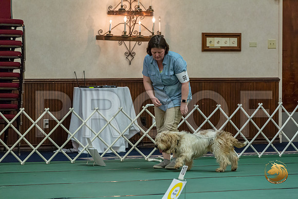 Rally ExB #98 Megan Esherick Reg Judge Nancy SimmonsJJJ_8188-PBGVKrvlTX2019-HR3
