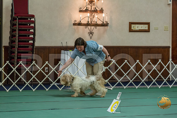 Rally ExB #98 Megan Esherick Reg Judge Nancy SimmonsJJJ_8190-PBGVKrvlTX2019-HR3