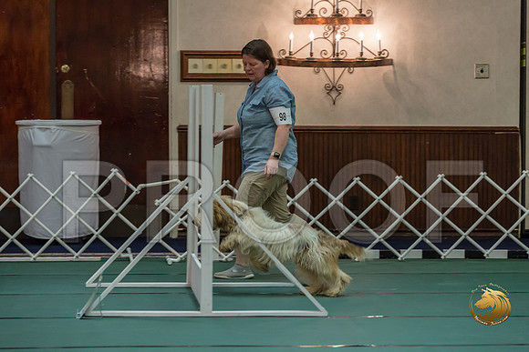 Rally ExB #98 Megan Esherick Reg Judge Nancy SimmonsJJJ_8191-PBGVKrvlTX2019-HR3