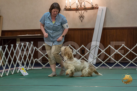 Rally ExB #98 Megan Esherick Reg Judge Nancy SimmonsJJJ_8195-PBGVKrvlTX2019-HR3
