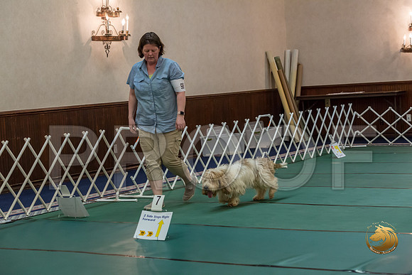 Rally ExB #98 Megan Esherick Reg Judge Nancy SimmonsJJJ_8198-PBGVKrvlTX2019-HR3