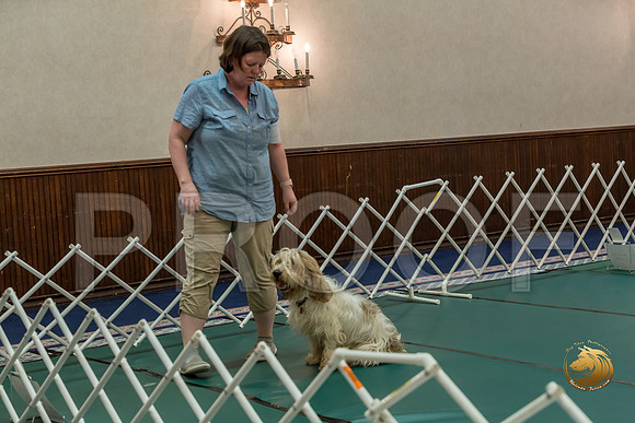 Rally ExB #98 Megan Esherick Reg Judge Nancy SimmonsJJJ_8200-PBGVKrvlTX2019-HR3
