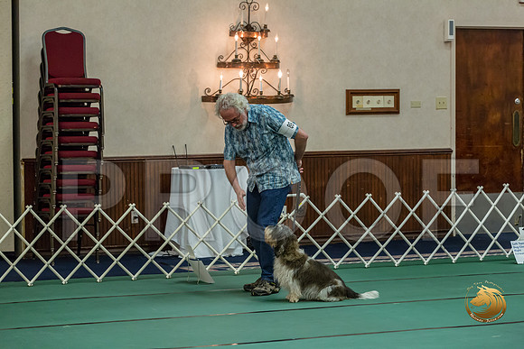 Rally Int #89 Steve Roche Reg Judge Nancy SimmonsJJJ_8482-PBGVKrvlTX2019-HR3