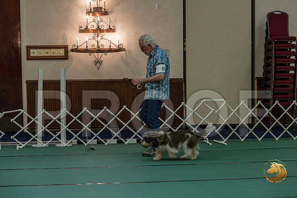 Rally Int #89 Steve Roche Reg Judge Nancy SimmonsJJJ_8485-PBGVKrvlTX2019-HR3