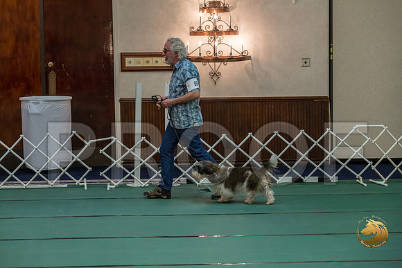 Rally Int #89 Steve Roche Reg Judge Nancy SimmonsJJJ_8488-PBGVKrvlTX2019-HR3