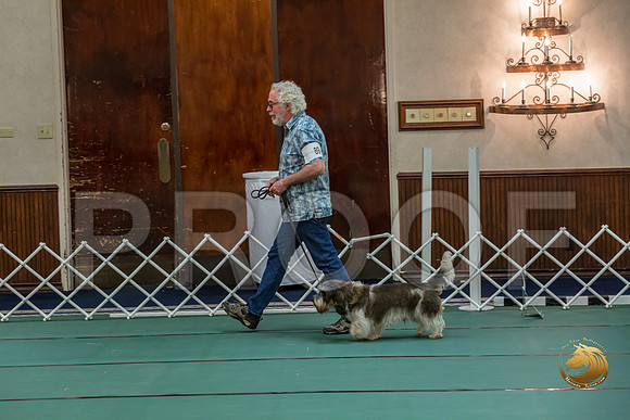 Rally Int #89 Steve Roche Reg Judge Nancy SimmonsJJJ_8489-PBGVKrvlTX2019-HR3