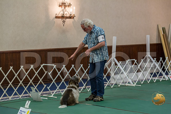 Rally Int #89 Steve Roche Reg Judge Nancy SimmonsJJJ_8496-PBGVKrvlTX2019-HR3