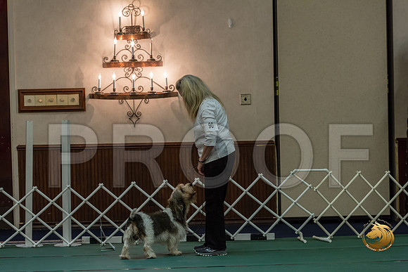 Rally Int #90 Teri King Reg Judge Nancy SimmonsJJJ_8538-PBGVKrvlTX2019-HR3
