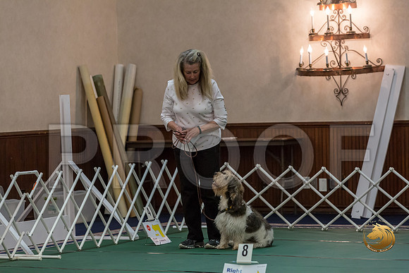 Rally Int #90 Teri King Reg Judge Nancy SimmonsJJJ_8548-PBGVKrvlTX2019-HR3