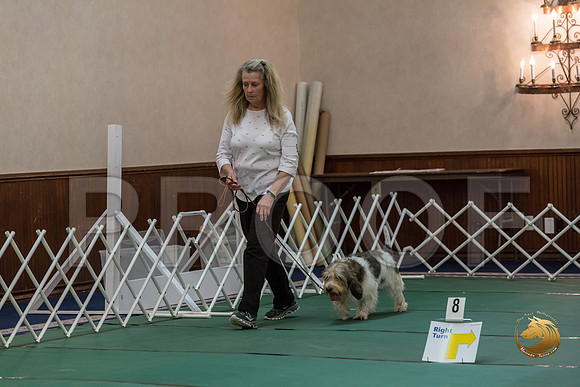 Rally Int #90 Teri King Reg Judge Nancy SimmonsJJJ_8549-PBGVKrvlTX2019-HR3