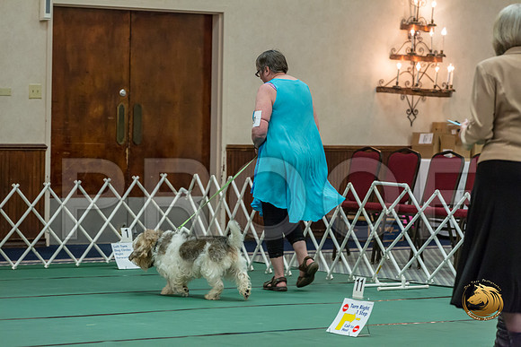 Rally Int #91 Sharon Betker Reg Judge Nancy SimmonsJJJ_8578-PBGVKrvlTX2019-HR3