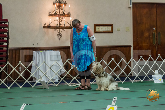 Rally Int #91 Sharon Betker Reg Judge Nancy SimmonsJJJ_8585-PBGVKrvlTX2019-HR3