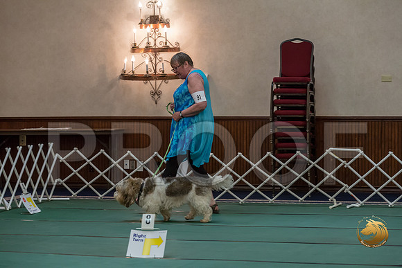Rally Int #91 Sharon Betker Reg Judge Nancy SimmonsJJJ_8594-PBGVKrvlTX2019-HR3