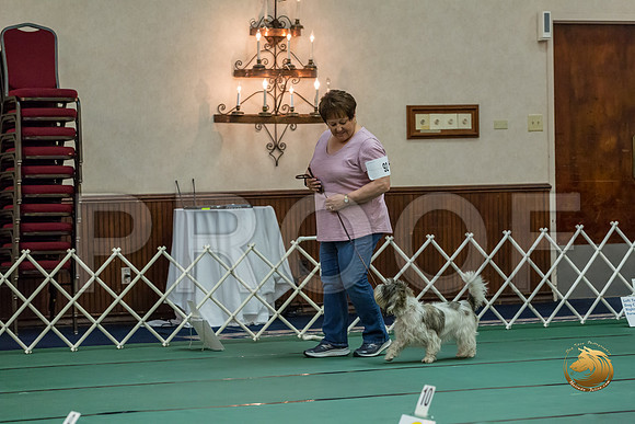 Rally Int #92 Vickie Willman Reg Judge Nancy SimmonsJJJ_8612-PBGVKrvlTX2019-HR3