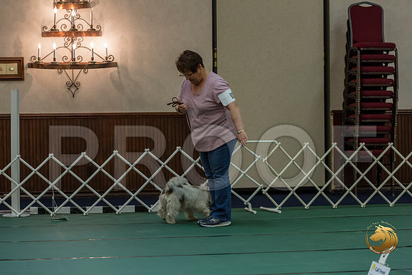 Rally Int #92 Vickie Willman Reg Judge Nancy SimmonsJJJ_8621-PBGVKrvlTX2019-HR3