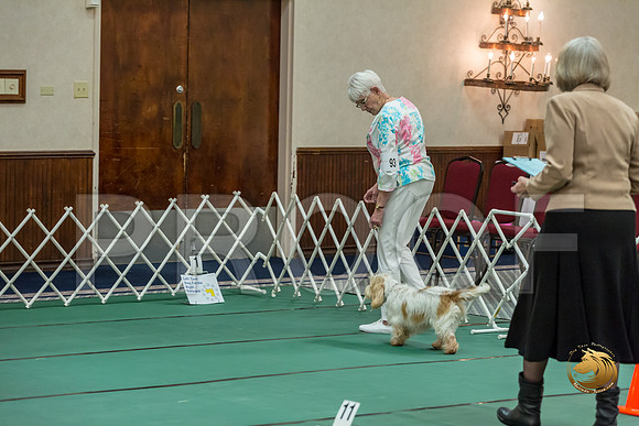 Rally Master #93 Minta Williquette Reg Judge Nancy SimmonsJJJ_7889-PBGVKrvlTX2019-HR3