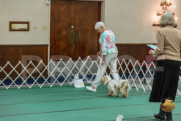Rally Master #93 Minta Williquette Reg Judge Nancy SimmonsJJJ_7890-PBGVKrvlTX2019-HR3