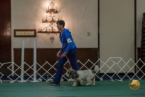 Rally NovA #86 Bonnie Bailey Reg Judge Nancy SimmonsJJJ_8771-PBGVKrvlTX2019-HR3