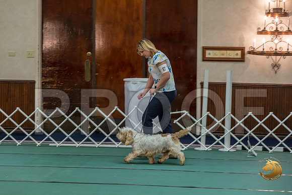 Rally NovB #87 Margaret Krieck Reg Judge Nancy SimmonsJJJ_8682-PBGVKrvlTX2019-HR3