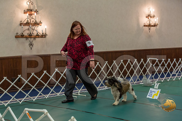 Rally NovB #88 Gloria Swaine Reg Judge Nancy SimmonsJJJ_8734-PBGVKrvlTX2019-HR3