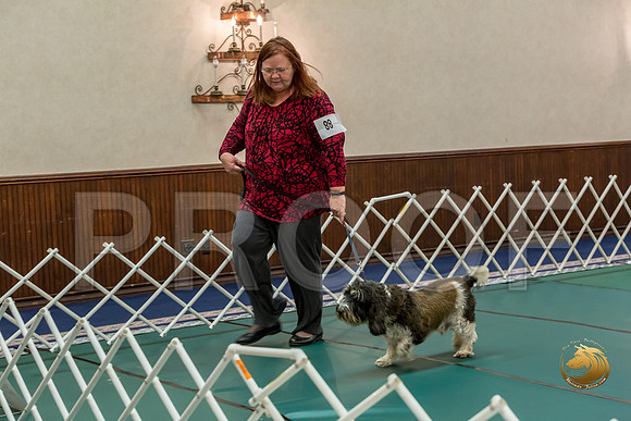 Rally NovB #88 Gloria Swaine Reg Judge Nancy SimmonsJJJ_8735-PBGVKrvlTX2019-HR3
