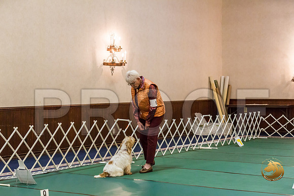 Rally Thurs AdvB #93 Minta Williquette Judge Nancy SimmonsJJJ_9703-PBGVKrvlTX2019-HR3
