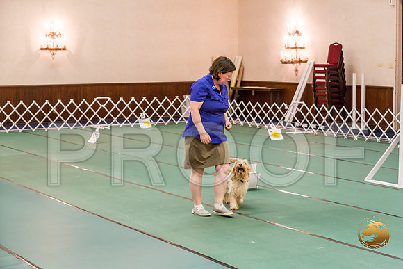 Rally Thurs AdvB #94 Megan Esherick Judge Nancy SimmonsJJJ_9677-PBGVKrvlTX2019-HR3